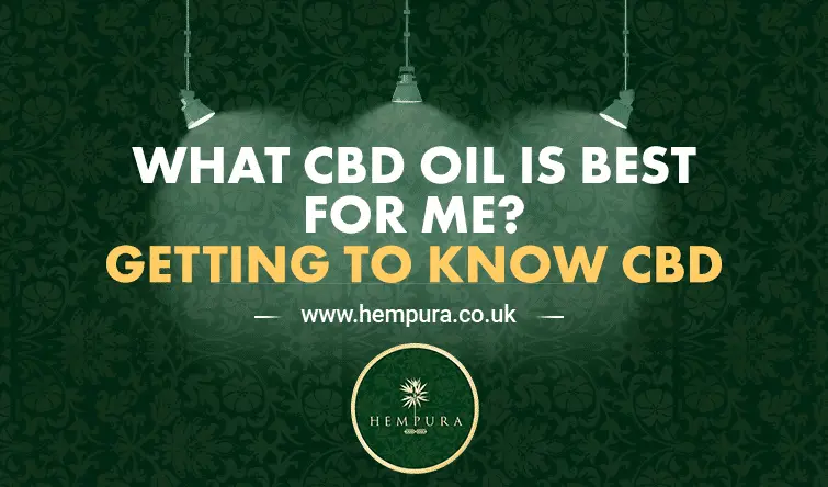 what-cbd-oil-is-best-for-me-hempura