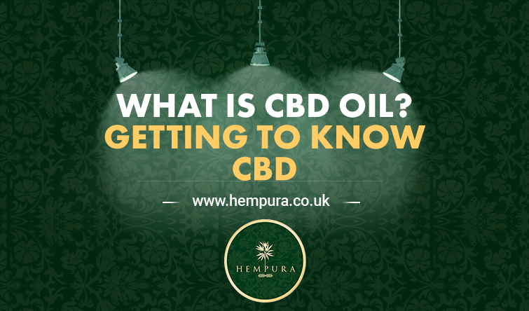 what-is-cbd-oil-hempura