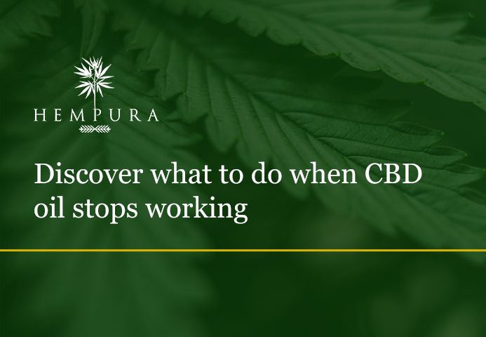 what-to-do-cbd-oil-stops-working