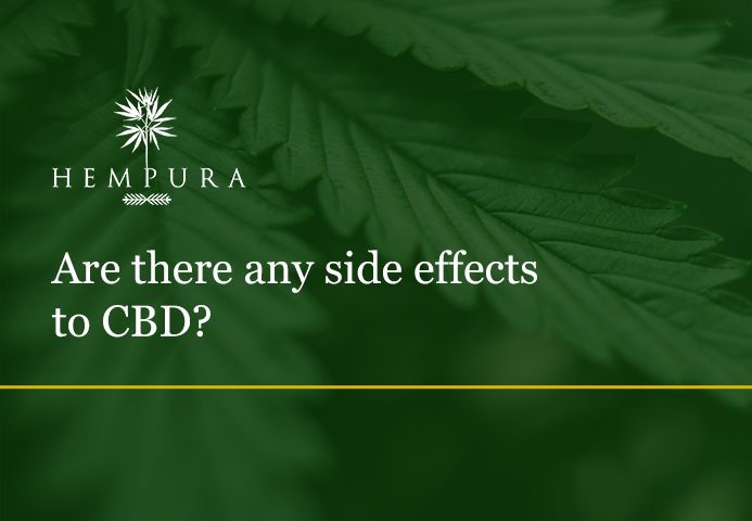 are-there-any-side-effects-to-cbd